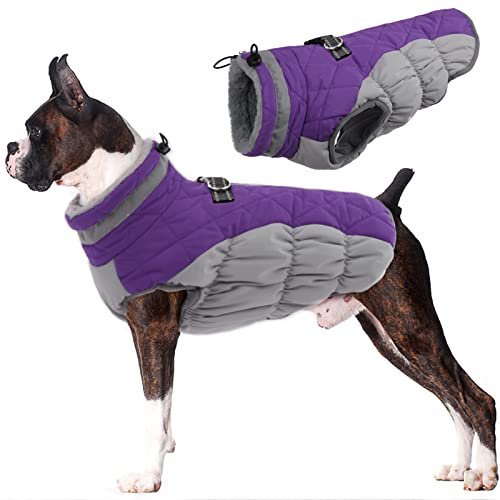 Lelepet Wasserdicht Hundemantel, Winter Winddicht Hundejacke mit Geschirr, Warme Reflektierend Schneeanzug Winterweste, Kaltes Wetter Hundepullover für Kleine Mittlere Große Hunde (Lila, L)