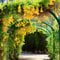 Dolichandra Cat's Claw Vine Creeper Flower Seeds - 25 Organic Seeds