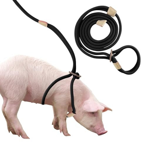 Harnais et Laisse pour Mini Cochon, Corde Réglable de 2,6 m pour Cochons Domestiques de Petite à Moyenne Taille