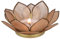 GURU SHOP Lotus Teelicht Muschel 11x4 cm - Sandfarben