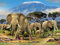 YJPZZG Kreative Puzzles 3000 Stück Elefant Kunstsammlung, Puzzlekunst FüR Erwachsene Und Kinder, Hochwertiger Druck Fertige Größe 122×81cm