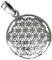 AFP Anhänger Blume des Lebens 925 Sterling Silber AS-371
