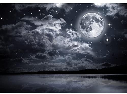 Runa Art Fototapete Vollmond Nacht 352 x 250 cm Vlies Tapeten XXL Moderne Wandtapete Wohnzimmer Schlafzimmer Schwarz Weiss 9116011c