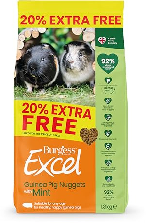 Burgess Excel Meerschweinchenfutter mit Minze, 1,8 kg – Meerschweinchen-Nuggets für ausgewachsene Meerschweinchen – Ballaststoffreich, Minze Meerschweinchen-Pellets