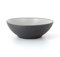 Revol RV649577 Assiette Coupe Equinoxe Porcelaine, Poivre, 19 x 6.5 cm