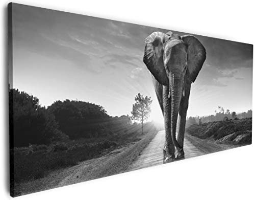 Wallario XXXL Riesen- Leinwandbild Elefant bei Sonnenaufgang in Afrika schwarzweiß - Wandbild 80 x 200 cm Brillante lichtechte Farben, hochauflösend, verzugsfrei, Kunstdruck