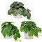 Oairse Set of 3 Small Artificial Plants in Ceramic Pots Decorative Fake Potted Plants Tropical Faux Plant Realistic Greenery House Plant Indoor for Aesthetic Home Office Kitchen Bathroom Desk Décor