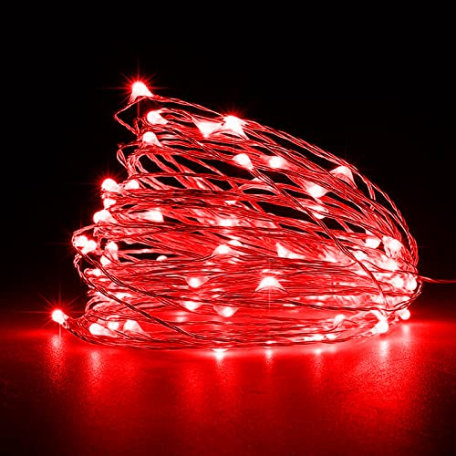 Jsdoin Lichterketten Batterie,5m 50LEDs Draht Lichterkette mit Batterie,Klein Innen Lichterkette für Tüllrock,Weihnachten,Schlafzimmer,Party, Hochzeit,Baumdekoration (Rouge, 2 Pcs 5m50leds)