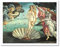 Wee Blue Coo Painting Sea Shell Goddess Birth Venus Botticelli Art Print Framed Poster Wall Decor Kunstdruck Poster Wand-Dekor-12X16 Zoll