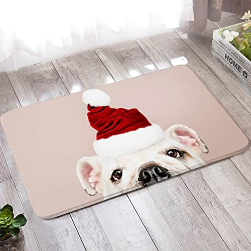 Banemi Fußmatte Outdoor, Teppich Läufer 40X60cm Rot Rosa Punkt, Der Weihnachtsmütze Trägt Heimtextilien