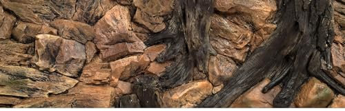 WYSKONT Aquarium Rückwand 3D Kos - Aquarium Hintergrund - Aquarium Zubehoer - Hintergrund - Aquarium Deko - 146x45 cm zweiteilig für Aquarium 150x50 cm - braune Farbe - Aquarium Groß