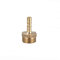 1 Stück BSP Schlauchanschluss Messing Stecker Fitting 6mm/8mm/10mm/12mm/16mm/19mm/25mm, Schlauch Barb Schwanz männlich BSP Außengewinde Adapter