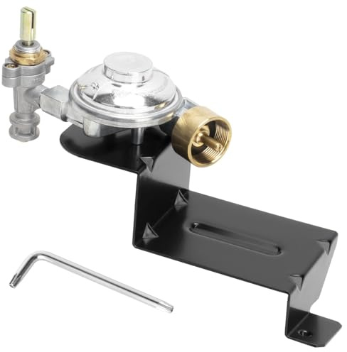 64866 Ventil und Regler für Weber Q1000 Q1200 SER Grillteile | Regler für Weber Q1200 Grillzubehör Webber Teile Q Grill Ersatzteile 50060001 50060301 51010001, einfach zu installieren