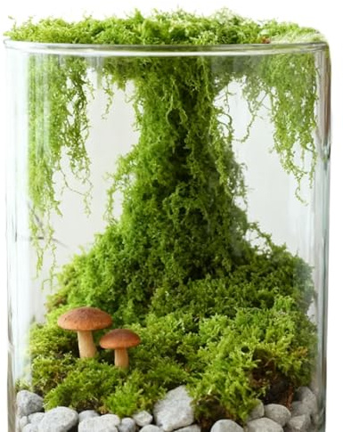 Zohuwerui Künstliches Moos, 300 g, realistischer künstlicher Grünfüller, Moos für Zimmerpflanzen, für den Außenbereich, Wandvase, Terrarium, Pflanzgefäß, Sukkulenten, Weihnachten, Herbst, Winter