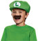 Super Mario Bros. Kinder Luigi Hut Und Schnurrbart Zubehörteil - Einheitsgröße