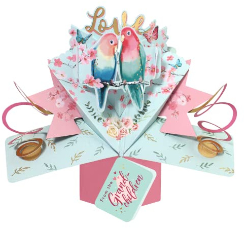 Love Birds From The Grand-children Pop Up Anniversary Card Suit Any Occasion POP199C22