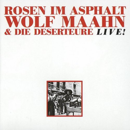 Rosen Im Asphalt