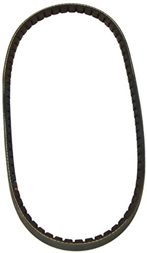 DAYCO 10A0800C Gürtel