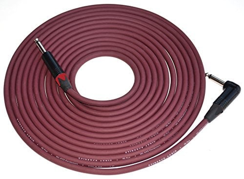 Evidence Audio The Forte 10 Foot Instrument Cable Right to Straight