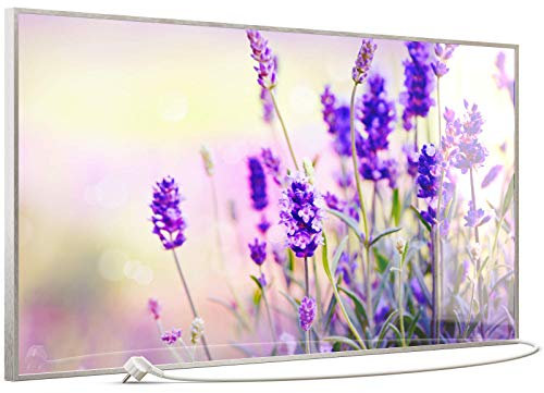 STEINFELD Heizsysteme®️ Glas Bild Infrarotheizung mit Thermostat | Made in Germany | viele Motive 350-1200 Watt Rahmen silber/alu (750 Watt, 061 Lavendel)