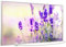 STEINFELD Heizsysteme®️ Glas Bild Infrarotheizung mit Thermostat | Made in Germany | viele Motive 350-1200 Watt Rahmen silber/alu (750 Watt, 061 Lavendel)