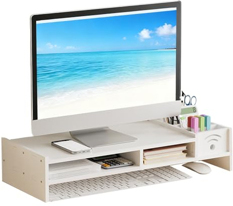 Sionhiuo Support De Moniteur Pour Bureau,Étagère À 2 Niveaux - Socle d'Écran d'Ordinateur de 10.9 cm de Hauteur avec Organisateur de Rangement | Pour Maison PC TV Table De Travail Dortoir Salle