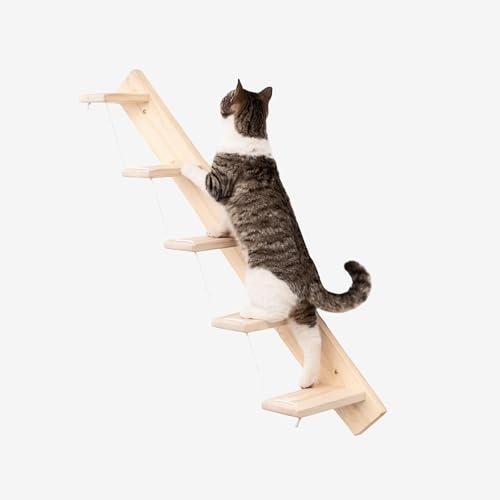 Scaletta per Gatti da Parete in Legno d'Abete Artigianale, Scala 5 Gradini Sinistra, per Giocare e Arrampicata per gatti con Resistenza Fino a 20 kg - Percorsipergatti