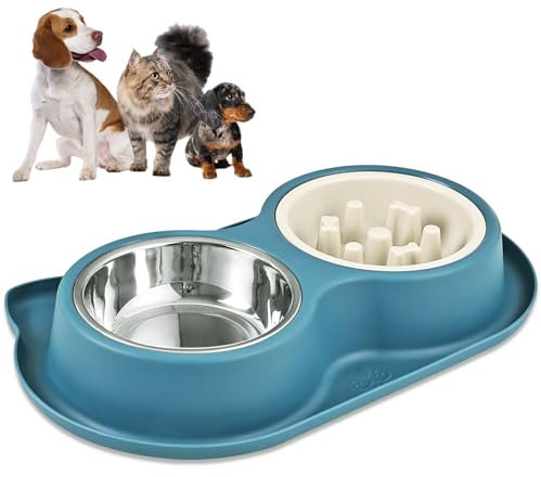 Slow Feeder Dog Bowl,Double Dog Bowl,2-in-1 Non Slip Non-spill Slow Feed Stainless Steel Double Bowl,Dog Food Bowl, Anti-Gulp, Anti-Overeating Pet Bowl Healthy Design for Small Medium Size Dogs Cats