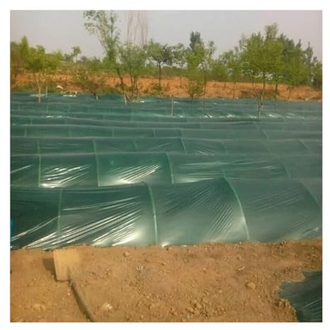 1 Stücke Grüne Film Gemüse Ingwer Pflanzende Mulch Filme, for Landwirtschaft Gewächshaus Film Junge Pflanzen Schutzfolie 1m / 1,2m / 2m(Width 1.2meter)