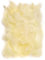 Netuno 150 Stück Deko Federn Ecru 10g Flaumfedern farbige Schmuckfedern Vogelfedern Bastelfedern Natur für DIY Basteln Dekoration Ostern Weihnachten Dekofigur