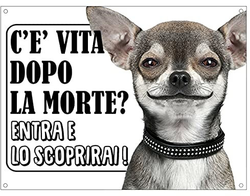 CARTELLO ATTENTI AL CANE - CHIHUAHUA c'è vita dopo la morte, entra e lo scoprirai - Con Adesivo in Vinile e Pannello in Forex (Pannello 5mm Stampato)
