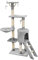 AQPET Tiragraffi Paris 138 cm con Cuccia per Gatti Albero Parco Giochi Gioco Tira Graffi per Gatto, Grigio
