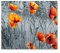 DEQORI Herdabdeckplatten Glas | 2er Set 60x52 cm | Motiv Rote Mohnblumen | Ceranfeld Abdeckplatten in Küche | Herd-Abdeckungen universal | Glasplatten & Schneidebretter für Kochplatte