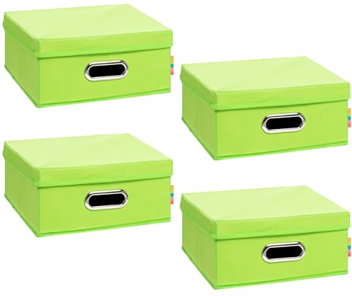 Storanda | 4er Set | MIA Aufbewahrungsbox Halbhoch mit Deckel Regal | Korb Regalbox für Würfelregal Kallax | Aufbewahrung Schlafzimmer, Bad, Büro | Einsatz Schubladentrenner | 28x28x14 cm | Apfelgrün