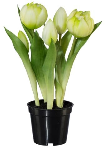 CREATIV green Gefüllte Tulpen Weiß 25cm im Topf I Künstliche Tulpenblumen im 5er Bund I Künstliche Frühlingsblumen mit naturgetreuen Blüten & Blättern I Pflegeleichte Dekopflanze Tulpenblüten