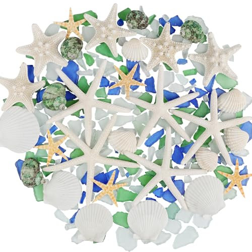 Fangoo Coquillages décoratifs Mélange d'étoiles de Mer et de Coquillages 200 grammes de Plage Verre de Mer Parfaits pour Les Décorations de Maison, l'artisanat et Les Mariages en Bord de Mer