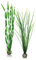 biOrb Jeu de plantes L en vert
