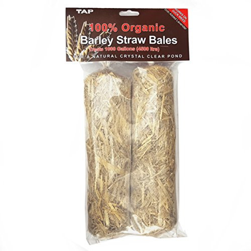 TAP Pond Barley Straw Algae Control DuckWeed Water Treatment Dual Pack (2 Packs (4 Bales))