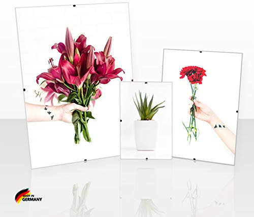 Clippo Rahmenloser Bilderrahmen Posterrahmen 20x50 cm Cliprahmen Bildhalter 50x20 cm mit Rückwand und klarem Kunstglas 1 mm