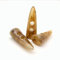 NC 24Pcs 4.8cm Harz Horn Knebel Mantel Knöpfe Zwei Löcher Horn Zahn Form Harz Knöpfe Nähen Handwerk DIY Zubehör für Strickwaren, Windjacke, Wattierte Jacke, Daunenjacke, Wollmantel