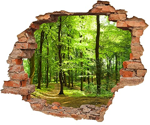 WCB Wandtattoo - Wanddurchbruch mit Aussicht Wald 70 x 57 cm Wandsticker