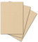 ARTOZ 25x Briefpapier - Baileys (Creme-Braun) DIN A4 297 x 210 mm - Edle Egoutteur-Rippung - Hochwertiges Designpapier Urkundenpapier