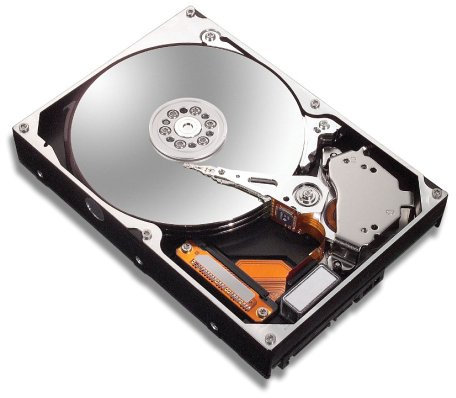 Maxtor 6L250R0 DiamondMax 10 Internal Hard Drive 250GB Bulk ATA (IDE) 7200rpm 16MB Cache