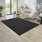 Carpet Studio Ohio Teppich Wohnzimmer 160x230cm, Weicher Kurzflor Teppich, Wohnzimmer, Esszimmer & Schlaffzimmer, Pflegeleicht, Geruchsneutral - Anthrazit