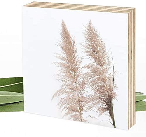 Wunderpixel® Holzbild Fotografie Pampasgras - beige - 15x15x2cm zum Hinstellen/Aufhängen, echter Fotodruck auf Holz - Wand-Bild Aufsteller zur Dekoration/Geschenk-Idee