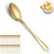 ReaNea Gold Dinner Spoons 24 Pieces, Stainless Steel Titanium Gold Plating Table Spoon, Soup Spoons, Use for Home, Restaurant, Wedding, Parties, Events, Christmax