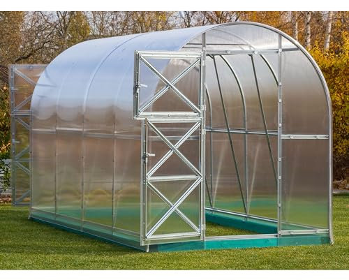 Serre robuste avec cadre en acier galvanisé et panneaux en polycarbonate de 4 mm d'épaisseur - Grande serre de jardin spacieuse - 6 x 3 m - Double porte et fenêtre