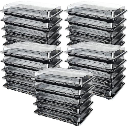 Cobenga 25 bandejas para sándwiches con tapas, bandejas de plástico pequeñas reutilizables para catering, bufés de catering, bandejas duraderas para sándwiches para preparación de comidas, pasteles,