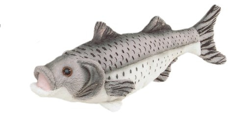 Bauer Spielwaren Blickfänger Seebarsch: Naturgetreues Kuscheltier aus weichem Plüsch, ideal als Geschenk, waschbar, 25 cm, weiß-grau (14056)