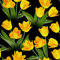HEKO PANELS Stoff Oxford Wasserdichte Meterware Canvas-Stoff Polyester Stoff Zum Nähen Nähstoffe Möbelstoffe Dekostoffe Handwerken Wasserabweisend Blickdicht Tulpen Gelb 3 Meter 155 x 300 cm